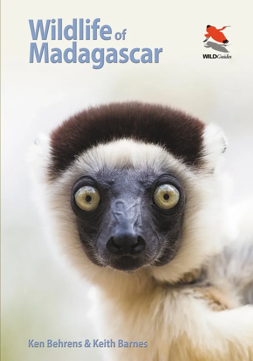 Wildlife of Madagascar - Image 2