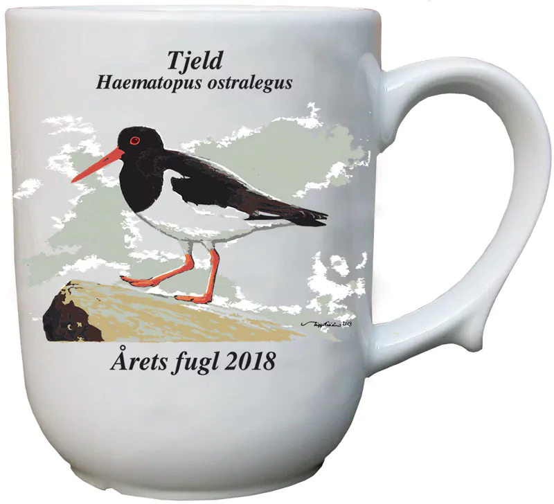 Tjeld krus – Årets fugl 2018
