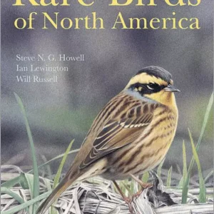 Rare Birds of North America