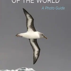 Oceanic Birds of the World