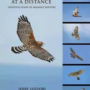 Hawks at a Distance