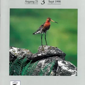 Vår Fuglefauna – 1998-3, årgang 21
