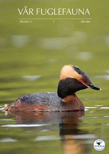 Vår Fuglefauna – 2008-1, årgang 31 - Image 2