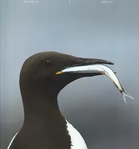 Vår Fuglefauna – 2013-1, årgang 36