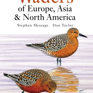 Waders of Europe, Asia and North America