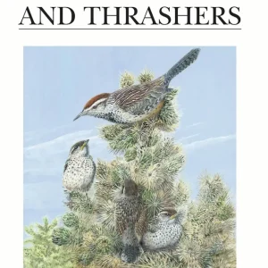 Wrens, Dippers and Trashers