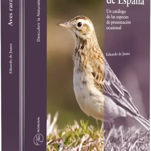 Aves raras de España