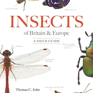 Insects of Britain & Europe
