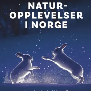 Naturopplevelser i Norge
